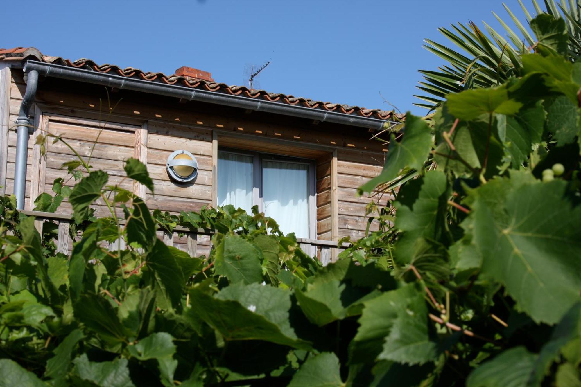 Hotel Le Vieux Greement La Couarde-sur-Mer Exterior foto