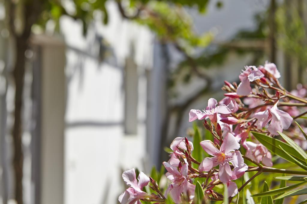 Hotel Le Vieux Greement La Couarde-sur-Mer Exterior foto